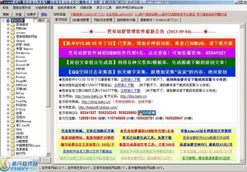 站群程序出售市场透视：从技术选型到规模化运营的决策指南